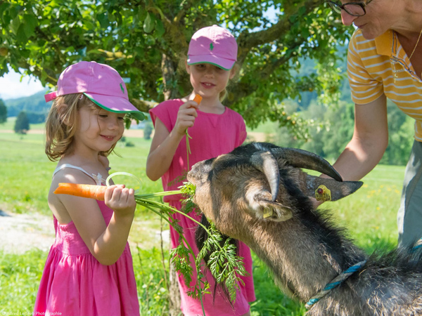 Urlaub am Bauernhof