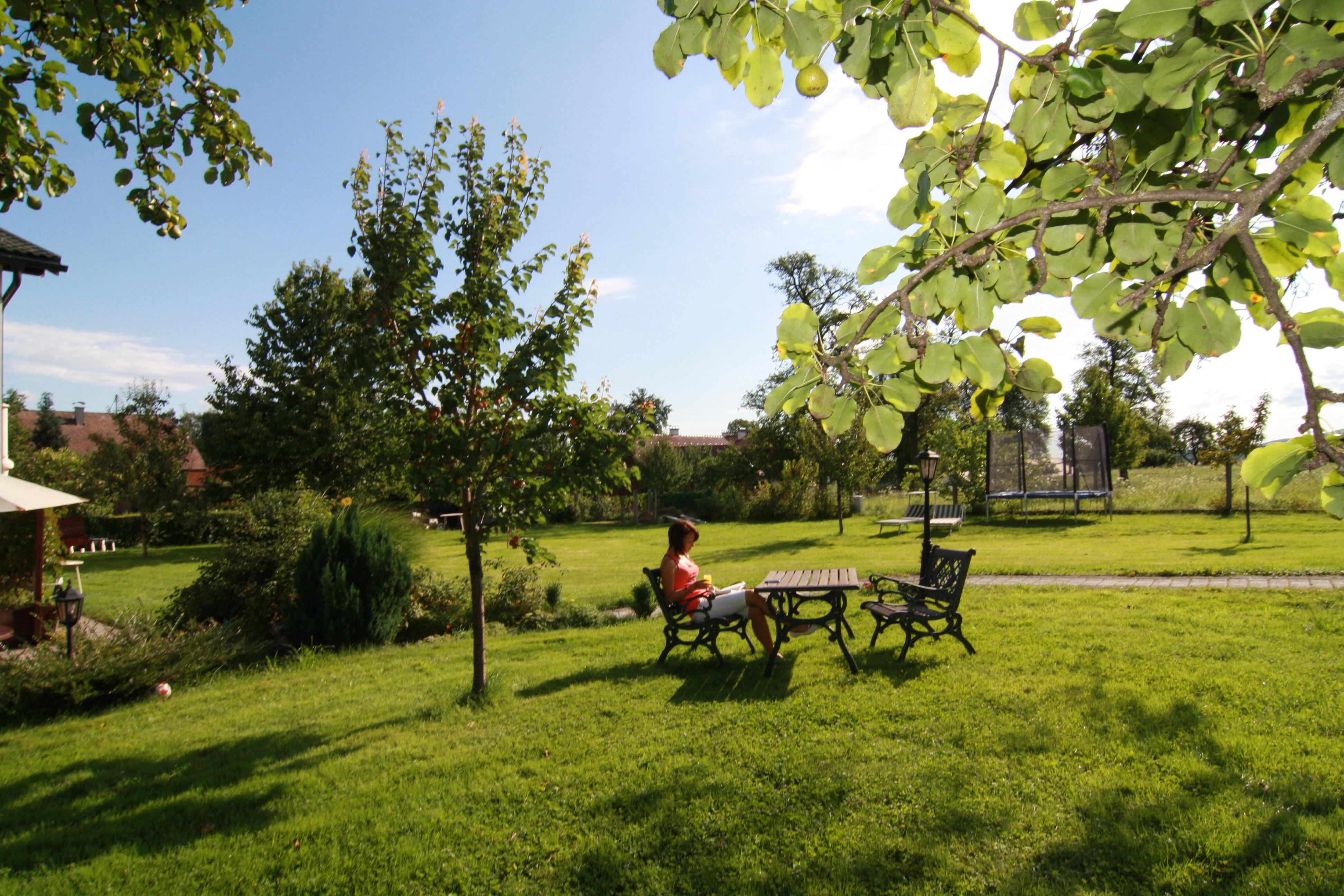 Pension Knoll Garten