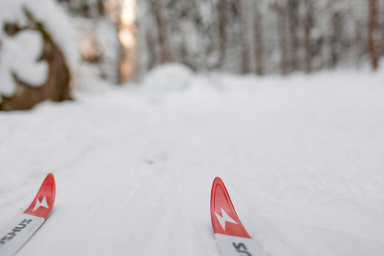 Foto von (c) Maria Isabella Anastasia Stål